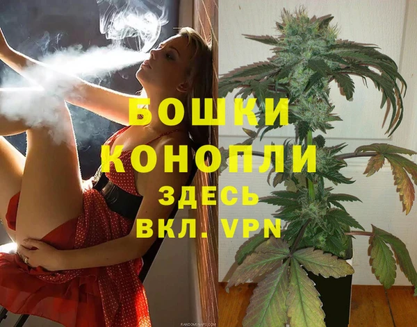 амф Пересвет