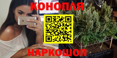 прущие грибы Апрелевка