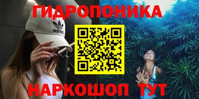 хмурый Аргун